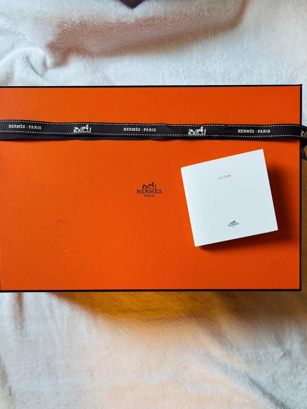 Hermès Paris Orange Shoe Box Ribbon Le Jean Care Booklet Packaging